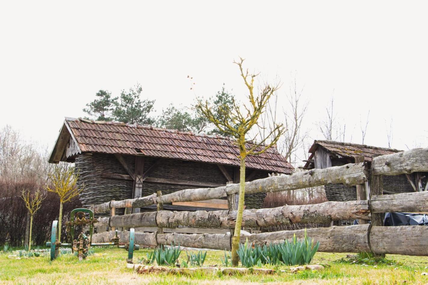 Country House Ivancan Molve Экстерьер фото