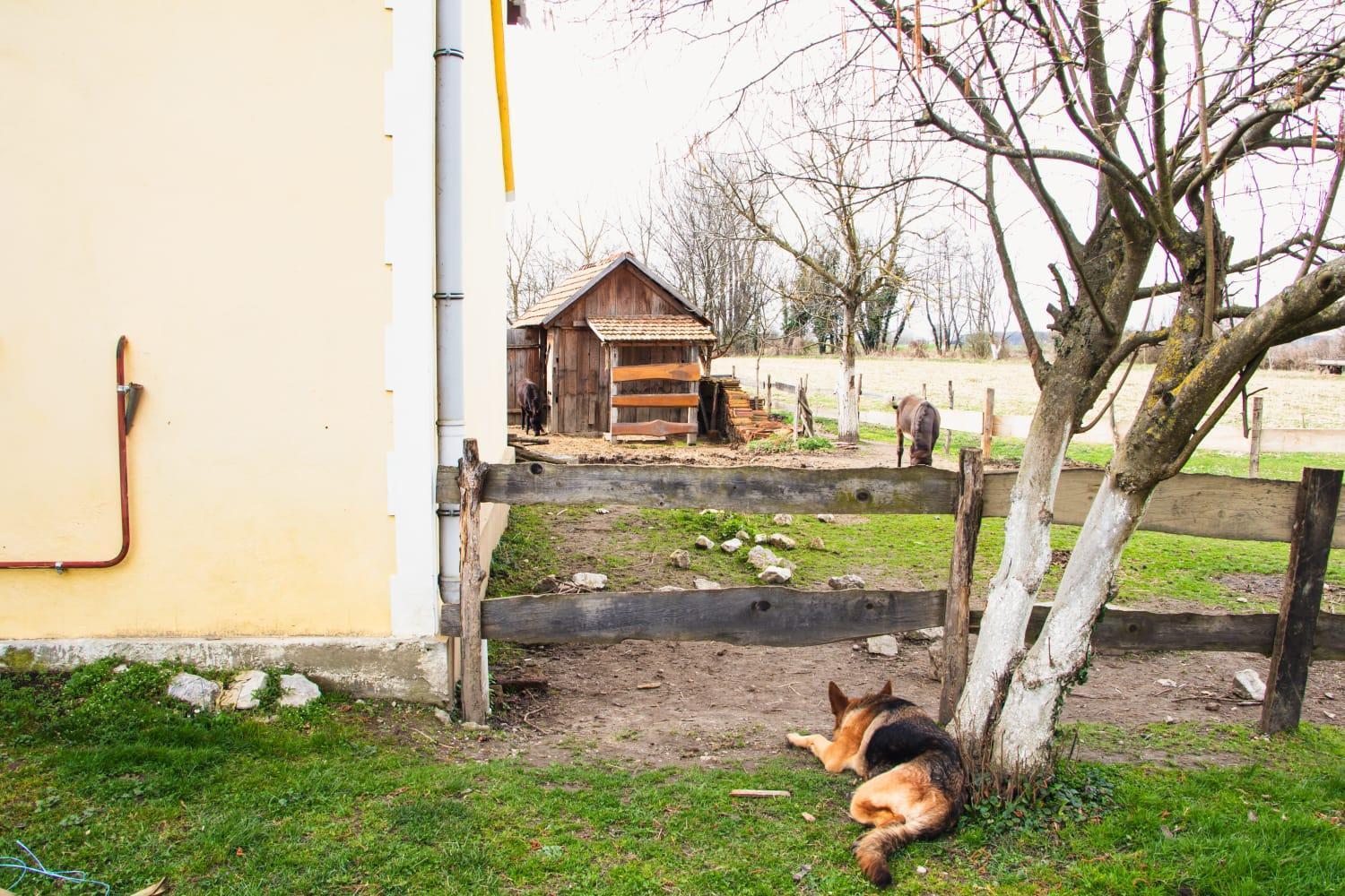 Country House Ivancan Molve Экстерьер фото